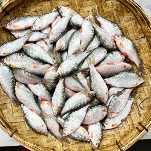 দেশি পুঁটি মাছ (২৫০ গ্রাম) puti mas, mach, fish