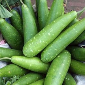 দেশি লাউ ছোট সাইজ ১ টি, lau, lao, kodu