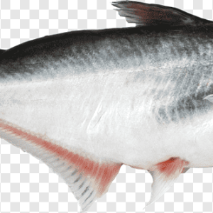 পাঙ্গাশ মাছ, (১ কেজি) ± ৭৫ গ্রাম, pangash fish, mas, mach