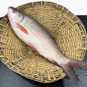 রুই মাছ, (১ কেজি) ± ৭৫ গ্রাম, rui fish, mas, mach