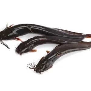 শিং মাছ, (11-20 pcs) (500 gm) ± ৭৫ গ্রাম, shing fish, mas, mach