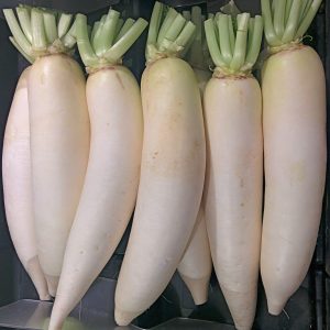 মুলা, 5 kg, Mula, Mola