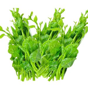 পুঁইশাক, 5 kg, puisak, poisak, puishak, pouisak